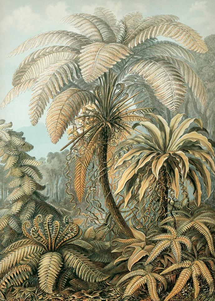 Reproductions d'illustrations Dybdahl