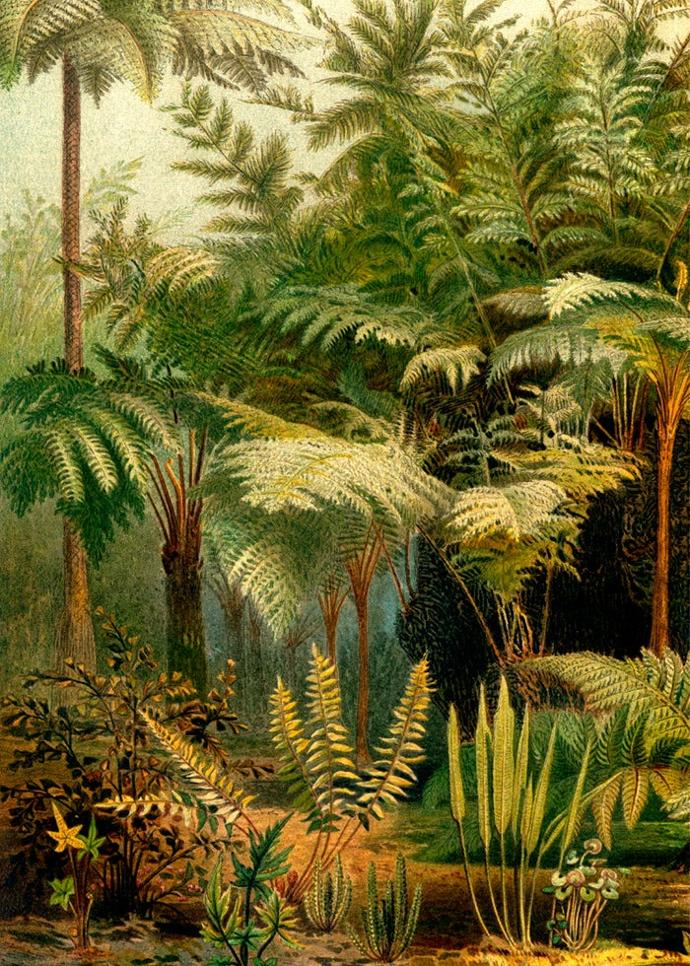 Reproductions d'illustrations Dybdahl