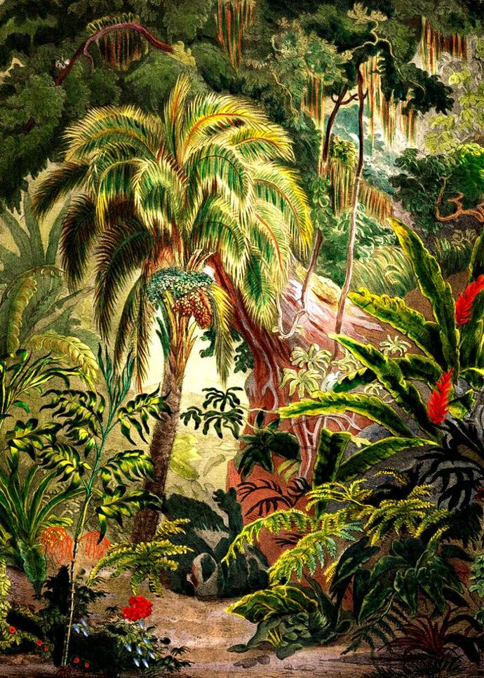 Reproductions d'illustrations Dybdahl